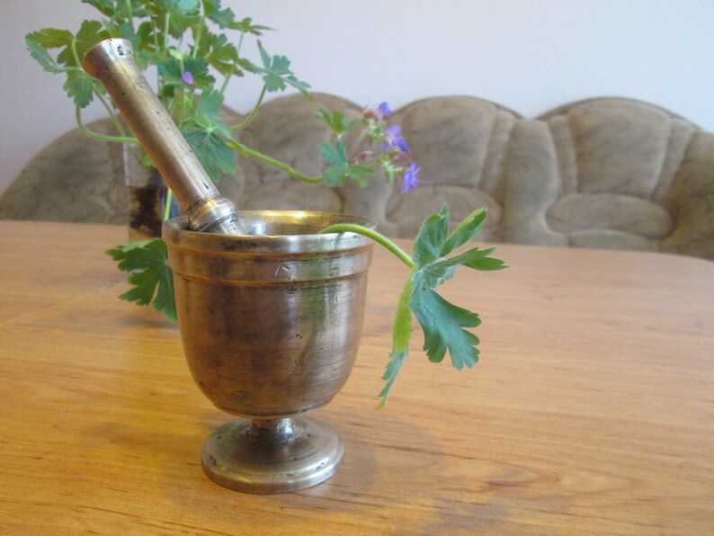 May include: A silver mortar and pestle with a green plant stem and leaves resting on the rim. The mortar and pestle are on a wooden table.
