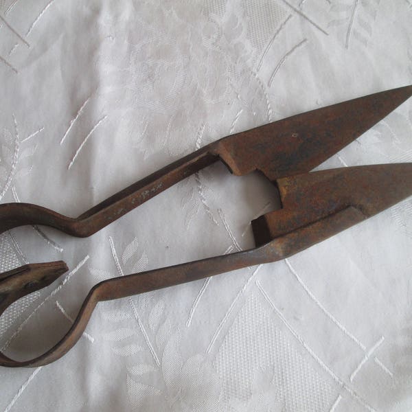 Vintage scissors, Scissors for shearing sheep, Old metal scissors, Antique sheep shears, Retro tool, Rustic scissors,  Farmhouses decor