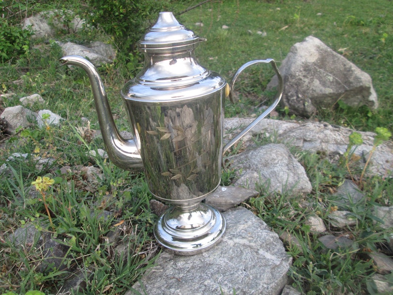 May include: A silver teapot with a decorative design on the side. The teapot has a lid and a handle. It is sitting on a rock.