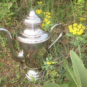May include: A silver teapot with a rounded body and a lid. The teapot has a spout and a handle. The teapot is sitting on a bed of green grass and yellow flowers.