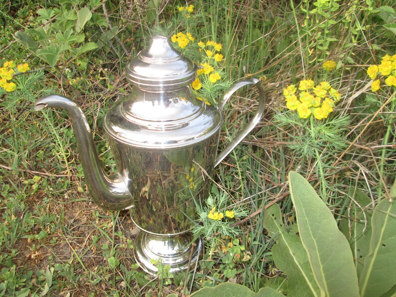 May include: A silver teapot with a rounded body and a lid. The teapot has a spout and a handle. The teapot is sitting on a bed of green grass and yellow flowers.