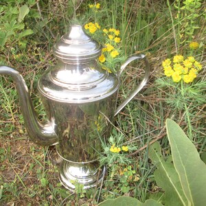 May include: A silver teapot with a rounded body and a lid. The teapot has a spout and a handle. The teapot is sitting on a bed of green grass and yellow flowers.