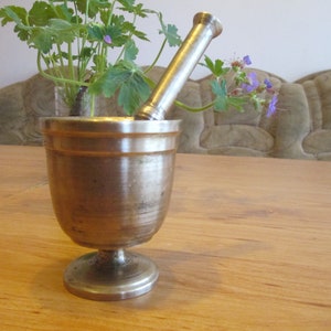 May include: A silver mortar and pestle set on a wooden table. The mortar has a round base and a bowl-shaped top. The pestle is long and slender with a rounded end. A small plant with green leaves and purple flowers is in the background.