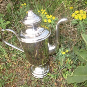 May include: A silver teapot with a rounded body and a curved spout. The teapot has a decorative lid and a base with a raised edge. The teapot is sitting on a bed of green grass and yellow flowers.