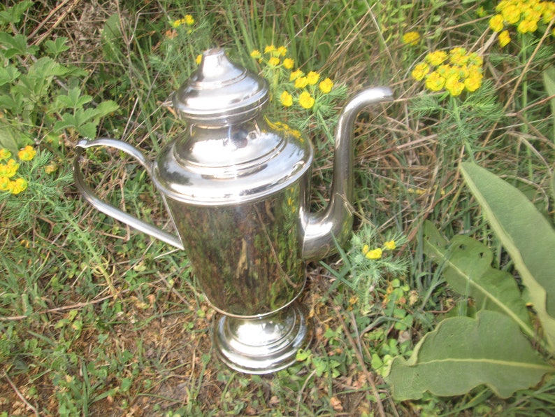 May include: A silver teapot with a rounded body and a curved spout. The teapot has a decorative lid and a base with a raised edge. The teapot is sitting on a bed of green grass and yellow flowers.