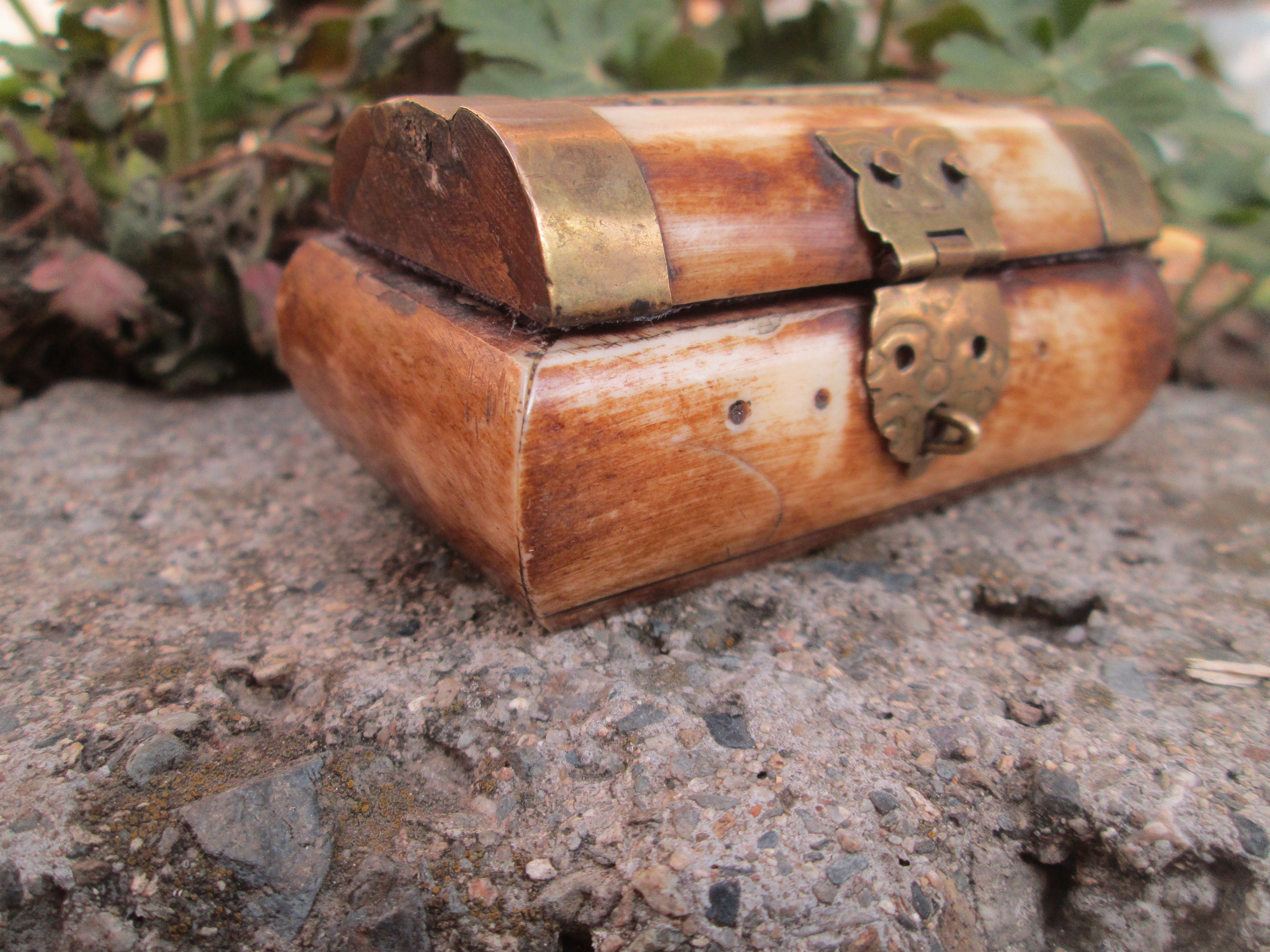 Brass and Bone Box Mini Jewelry Box Jewelry Storage Etsy
