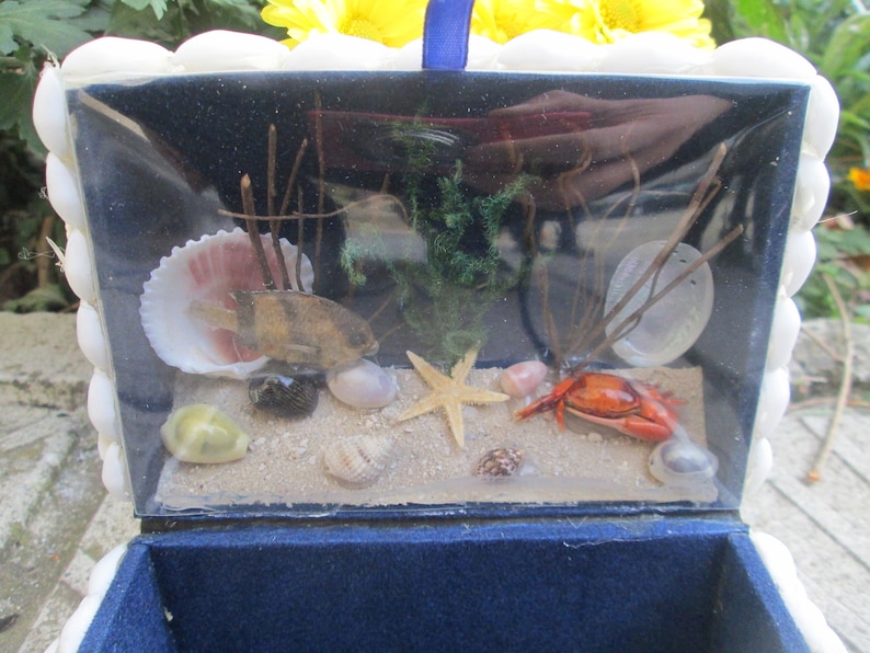 Sea shells box Gift for her Marine motifs Handmade box Nautical decor Jewelry box Box decorated with mussels Vintage Treasures box