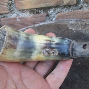 Corne de vache, Corne naturelle, Manche en corne de vache, Décoration rustique, Décoration de chasse, Corne véritable primitive, Manche pour une tondeuse à gazon primitive, Idée cadeau