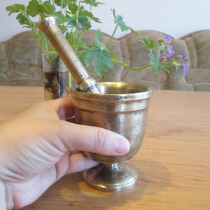 May include: A silver mortar and pestle with a wooden handle. The mortar is round and has a base. The pestle is long and thin. The mortar and pestle are sitting on a wooden table.