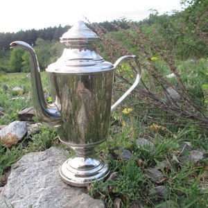 May include: A silver teapot with a rounded body and a lid with a knob on top. The teapot has a spout and a handle. It is sitting on a rock in a grassy area.