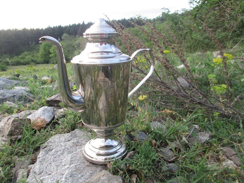 May include: A silver teapot with a rounded body and a lid with a knob on top. The teapot has a spout and a handle. It is sitting on a rock in a grassy area.