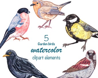 WATERCOLOR CLIPART, garden birds, watercolour clipart birds, png, instant download, digital download, commercial use, woodland clipart