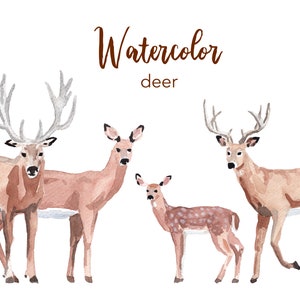 Aquarel herten clipartset, bosdieren (PNG-bestanden)