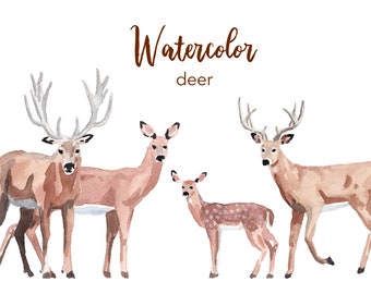 Watercolor Deer Clipart Set, Woodland Animals (PNG Files)