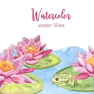 CLIPART DE AGUARELA, clipart de lírio de água, conjunto de clipart de aquarela, uso comercial, arquivos png, clipart de lírios, pântano, png, digital, floral
