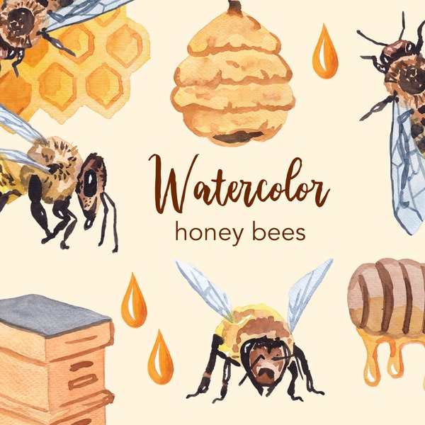 WATERCOLOR CLIPART, bee clipart, honey, nature, scrapbooking clip art, insect animals, hive, food, png, graphics, watercolour, illustration