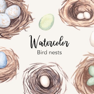 WATERCLOR CLIPART, Vogelnest, Ei Illustrationen, NaturGrafik, Osterpaket,