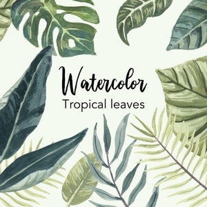 AQUARELL Clipart, tropische Blätter Clipart, Blatt png, Blatt Clipart, üppiges Grün, Monstera Blatt, Grüns, png Dateien, Illustrationen, Dschungel png