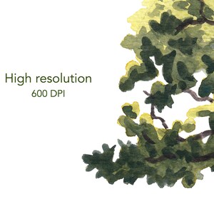 May include: Watercolor painting of a tree branch with green leaves and yellow highlights against a white background. The text "High resolution 600 DPI" is written in green below the branch.