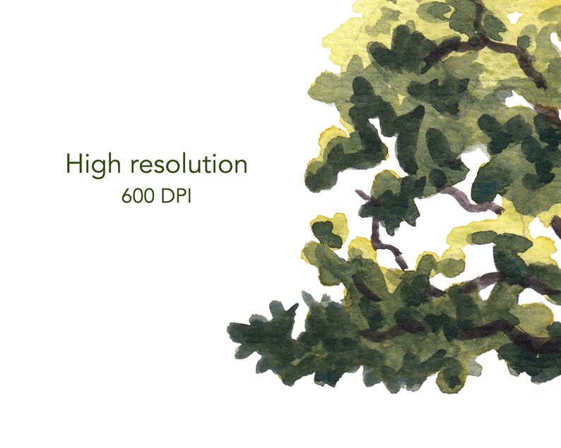 May include: Watercolor painting of a tree branch with green leaves and yellow highlights against a white background. The text "High resolution 600 DPI" is written in green below the branch.