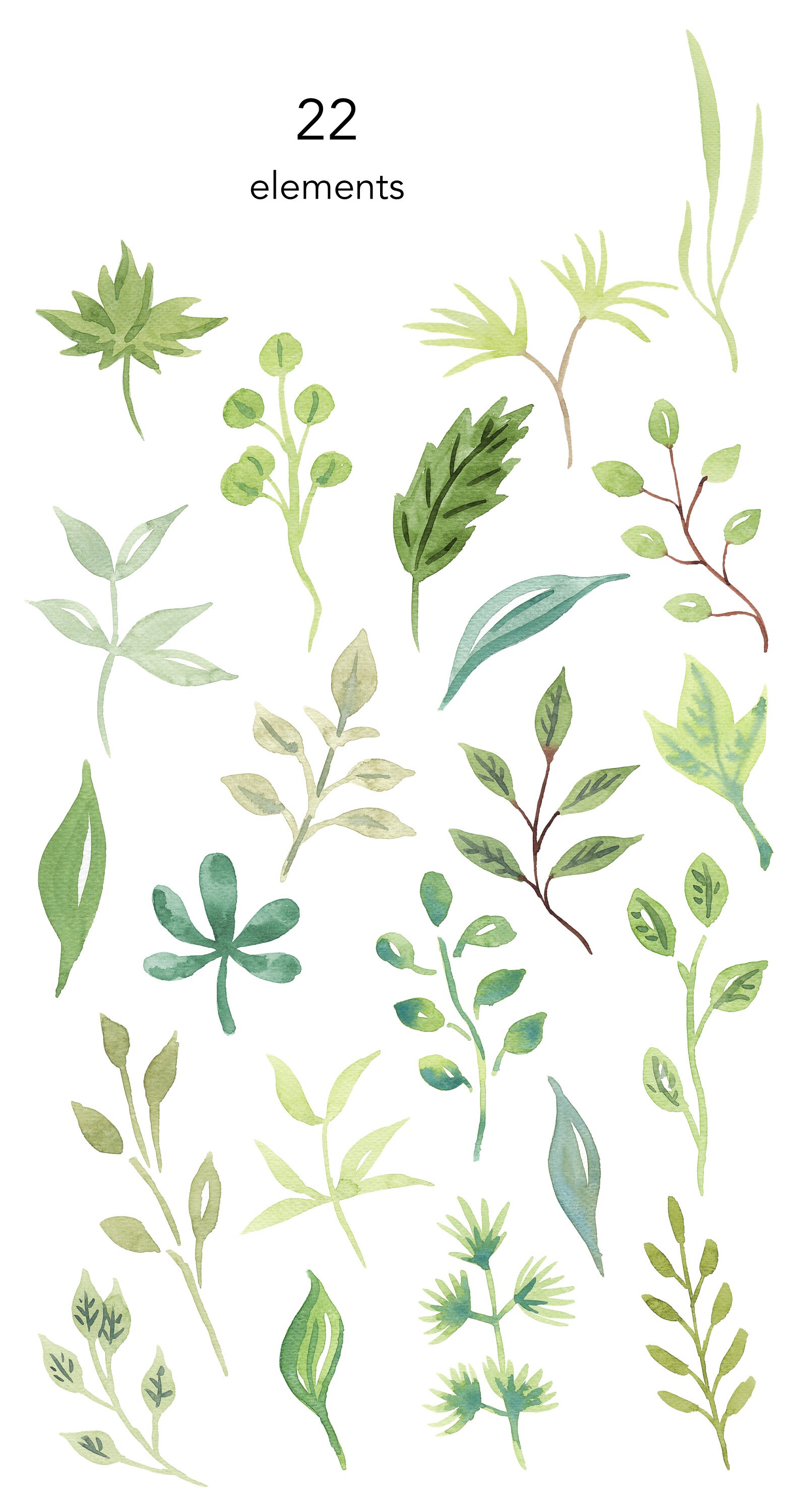 Watercolor Leaf Clipart Set, Greenery Branches (PNG Files) - Etsy Canada