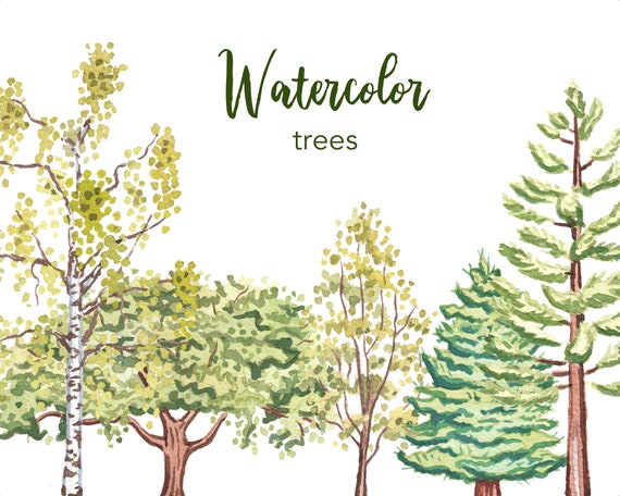 WATERCOLOR CLIPART, tree clipart, watercolor tree clipart, woodland clipart png, pine tree clipart, clipart set, forest clipart, scrapbook