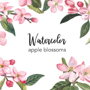 CLIPART DE AGUARELA, flores de maçã, folhas, galhos, natureza, conjunto de clipart de aquarela de árvore, uso comercial, arquivos png, clip art, digital