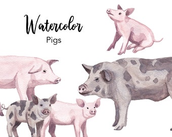 WATERCOLOR CLIPART, pig clipart, watercolour clipart set, commercial use, farm animal png files, baby pig clip art, piglet, digital, nursery