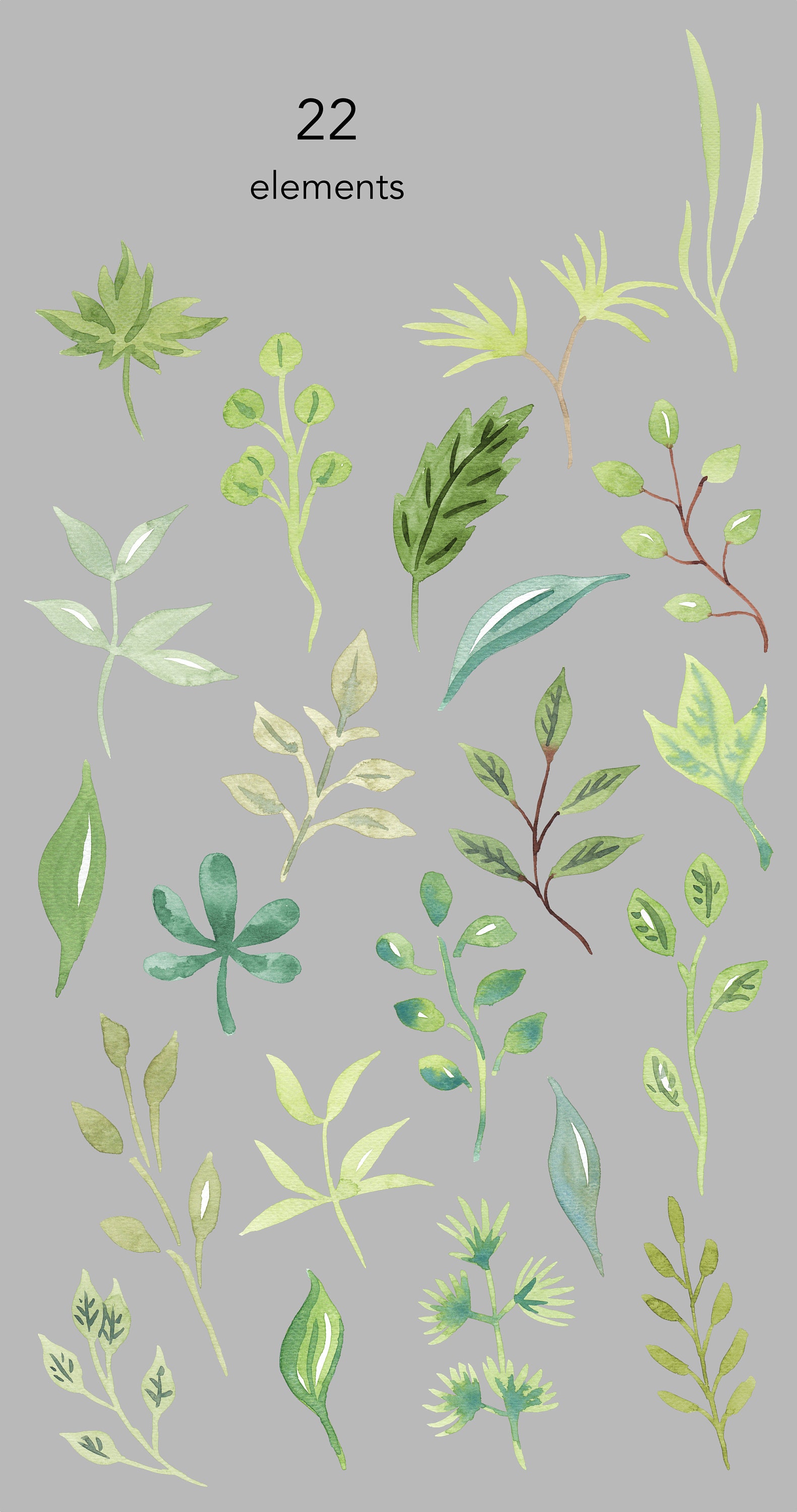 Watercolor Leaf Clipart Set, Greenery Branches (PNG Files) - Etsy Canada