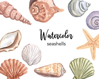 Watercolor Seashell Clipart Set, Beach Summer Graphics (PNG)
