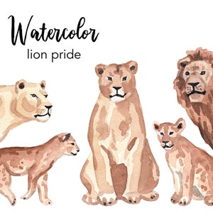 WATERCOLOR CLIPART, clipart del orgullo del león, conjunto de imágenes prediseñadas de la acuarela del cachorro de león, uso comercial, archivos png, clip art, sabana png, digital, vivero
