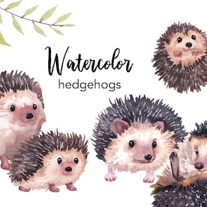 AQUARELL CLIPART, Igel Clipart, Aquarell Clipart Set, kommerzielle Nutzung, png Dateien, Baby Igel, Wald, png, digital, Kinderzimmer