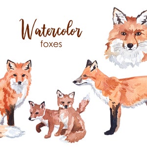 AQUAREL CLIPART, vos clipart, bos, kwekerij, scrapbooking clip art, bosdieren, rode vos, png, graphics, aquarel, illustratie