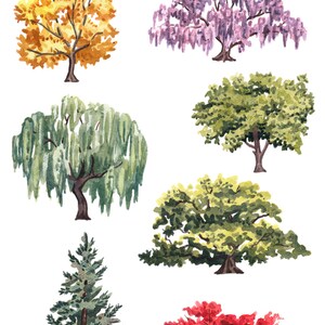 May include: Watercolor illustration of seven different trees, including a weeping willow, a maple tree, a pine tree, and a wisteria tree. The trees are painted in various shades of green, yellow, red, and purple.