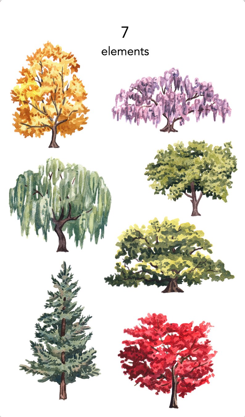 May include: Watercolor illustration of seven different trees, including a weeping willow, a maple tree, a pine tree, and a wisteria tree. The trees are painted in various shades of green, yellow, red, and purple.