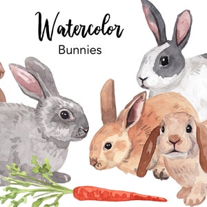 WATERCOLOR CLIPART, bunny clipart, pet watercolour clipart set, commercial use, png files, rabbits clip art, woodland, png, digital, nursery