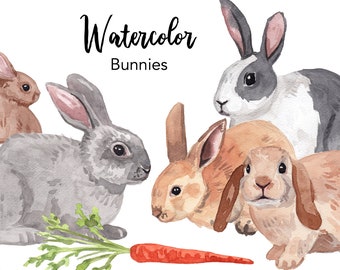 WATERCOLOR CLIPART, bunny clipart, pet watercolour clipart set, commercial use, png files, rabbits clip art, woodland, png, digital, nursery