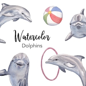 CLIPART AQUARELLE, clipart dauphin, vacances d’été sur la plage de l’océan, ensemble de cliparts de mer aquarelle, utilisation commerciale, png dauphins, png baleine pngs