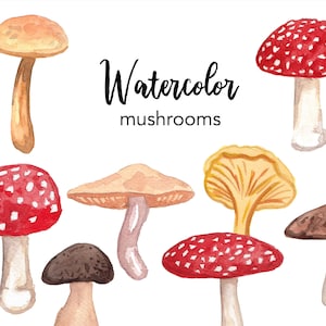 Watercolor Mushroom Clipart Set, Scrapbooking Graphics (PNG)