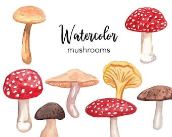 Watercolor Mushroom Clipart Set, Scrapbooking Graphics (PNG)