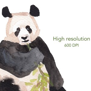 May include: Watercolor painting of a panda bear eating bamboo. The panda is black and white with a light brown face. The bamboo is green and has leaves.