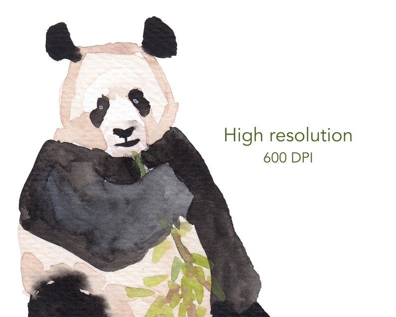 May include: Watercolor painting of a panda bear eating bamboo. The panda is black and white with a light brown face. The bamboo is green and has leaves.