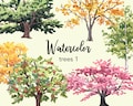 WATERCOLOR CLIPART, tree clipart, watercolor tree clipart, woodland clipart png, pine tree clipart, clipart set, forest clipart, scrapbook