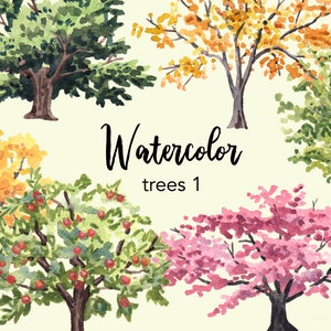 CLIPART DE AGUARELA, clipart de árvore, clipart de árvore em aquarela, clipart de floresta png, clipart de pinheiro, conjunto de clipart, clipart de floresta, álbum de recortes