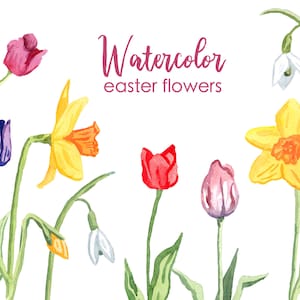 AQUARELL CLIPART, Osterblumen, Ostern Aquarell Blumen, Tulpen, Narzissen, Schneeglöckchen, kommerzielle Nutzung, png, Grafiken, Clip Art, gelb