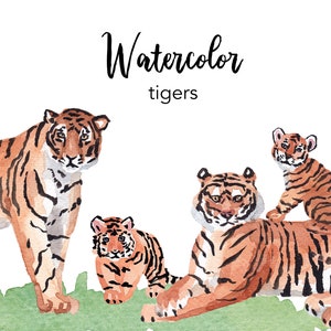 WATERCOLOR CLIPART, tiger clipart, watercolour clipart set, commercial use, png files, cat clip art, safari png, digital, nursery, scrapbook