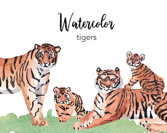 Watercolor Clipart Tiger Clipart Aquarell Clipart Set Etsy