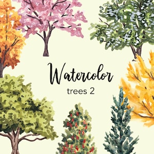 WATERCOLOR CLIPART, clipart albero, clipart albero acquerello, bosco clipart png, clipart pino, clipart set, clipart foresta, album di ritagli