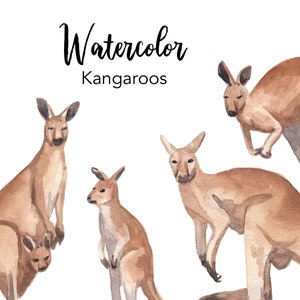 AQUARELL CLIPART, Känguru Illustrationen, Clipart Set, Aquarell, Australische Tiere Clip Art, aussie svg, png, digital, nice wildlife