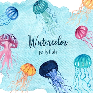 WATERCOLOR CLIPART, jellyfish clipart, watercolour ocean sea animal clipart set, commercial use, png files, clip art, png, digital